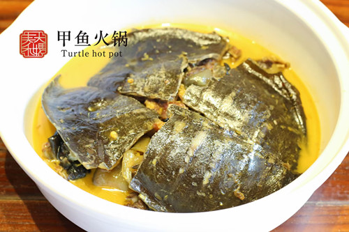 洞庭湖甲魚(yú)